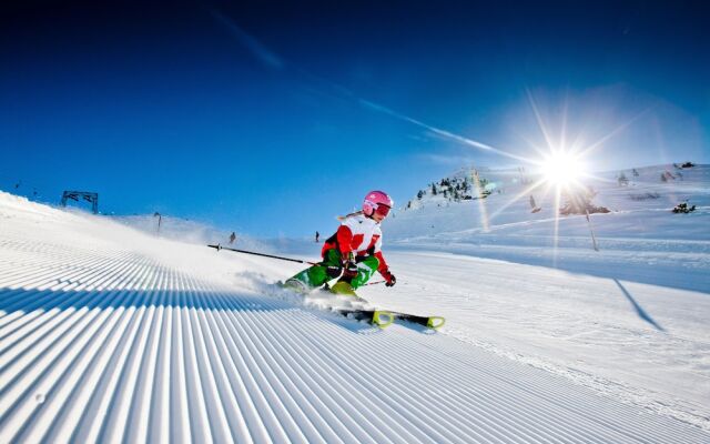 JUFA Hotel Planneralm - Alpin-Resort