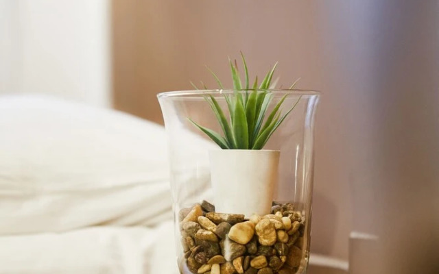 Huge apartments Smolensk street