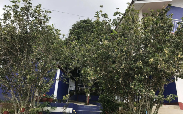Shin Sane Guesthouse