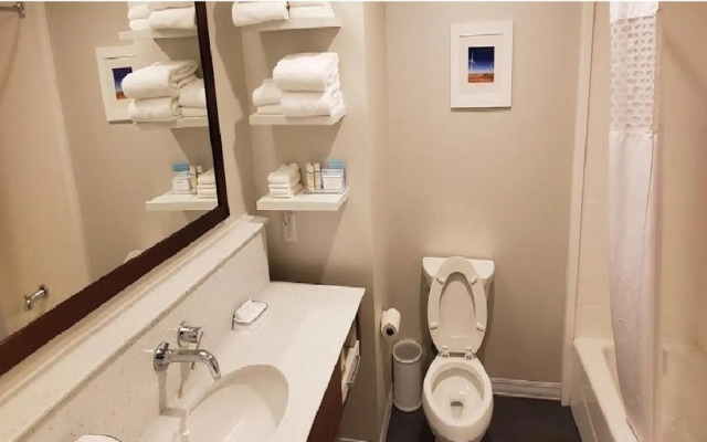 Hampton Inn Snyder TX