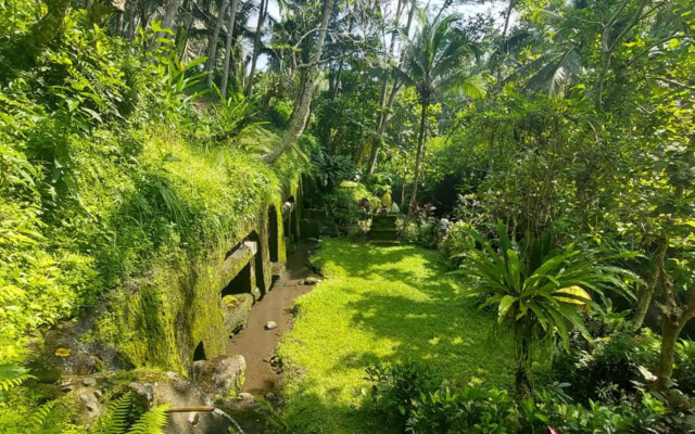 ZEN Rooms Jukut Paku Village