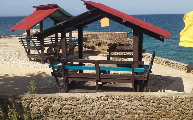 Camotes Flying Fish Resort