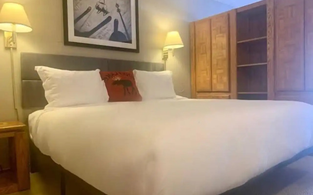 Lift House Lodge, Vail Lionshead Studio Condo, Walk to Gondola