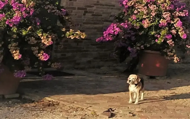 Whole Cottage In The Old Winery