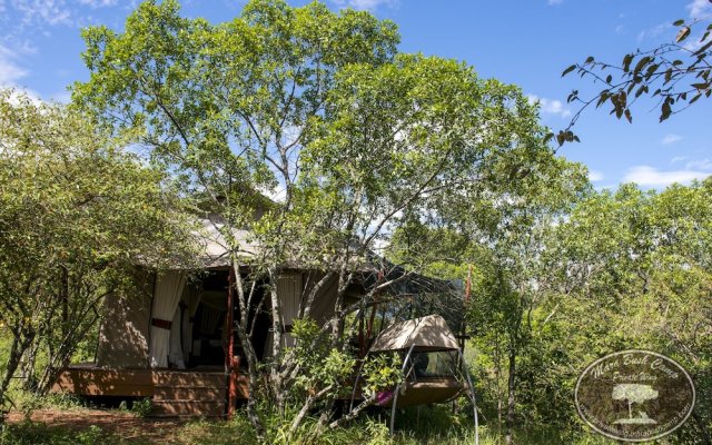 Mara Bush Camp - Private Wing