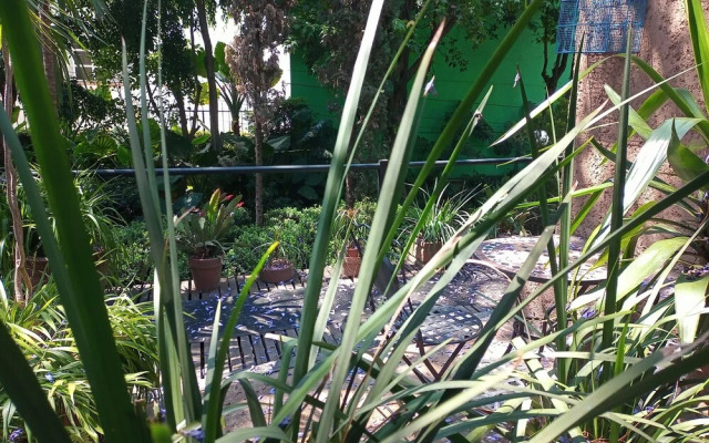 Garden House Welcome to San Ángel