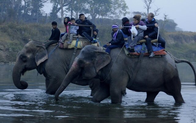 Green Park Chitwan