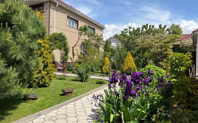 Maze Guest House