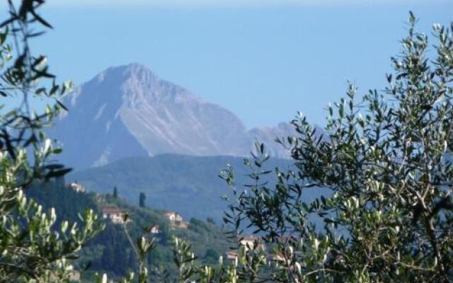 Fattoria di Camporomano