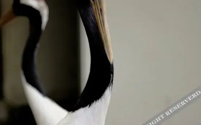 Tiantaishan Hotspring Resort Villa