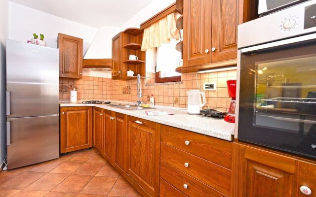 Apartment 1561