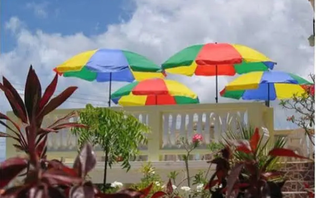 Palm Paradise Guest House and Apartments
