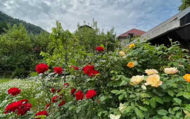 Riverside Villa Avo - Apartment Sara