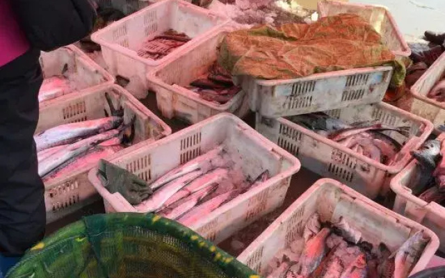 Qingdao Longwan Fisherman's Fun