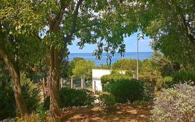 Apartments Dalmatia Blue
