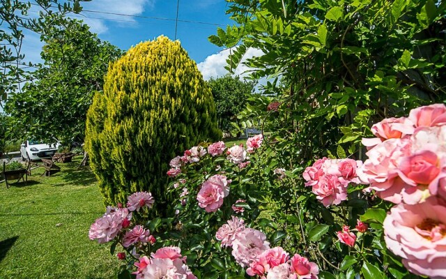 Agriturismo Il Musaccio