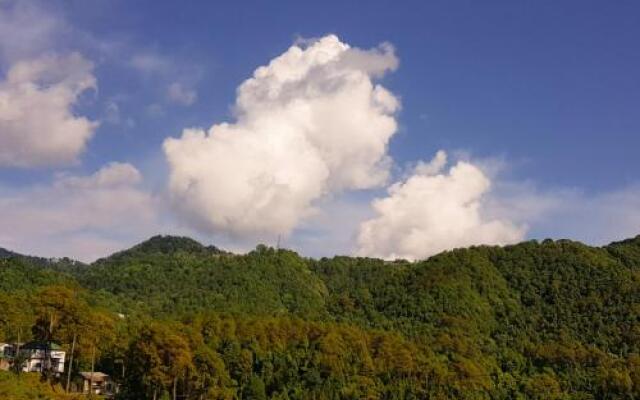Dalhousie Delight