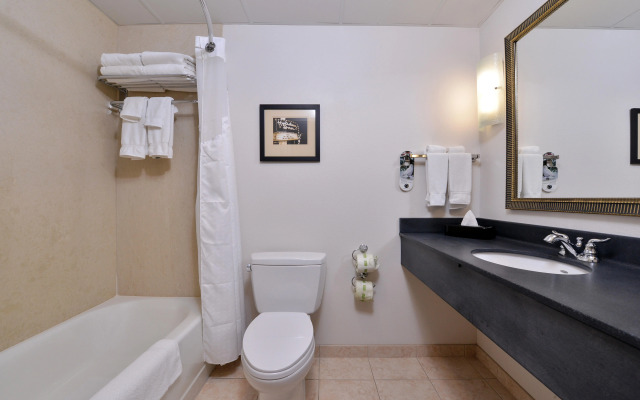 Holiday Inn Madison at The American Center by IHG