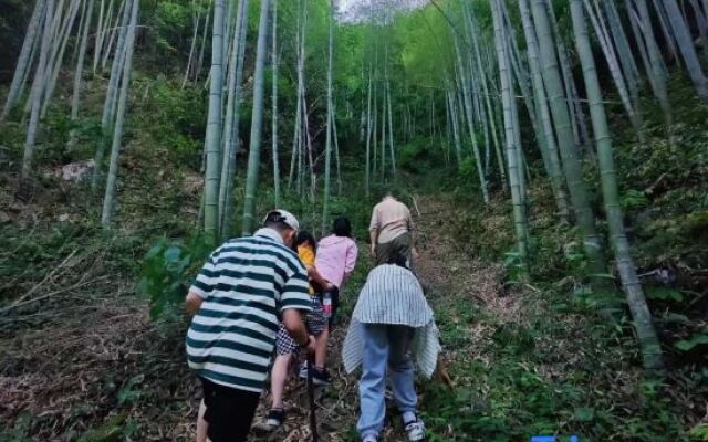 Shanfeng Zhuyun · Creekside Family Hiking Resort (Anji Longwang Mountain Rafting)