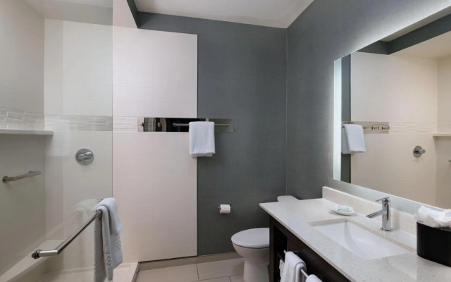 Residence Inn by Marriott Austin Southwest