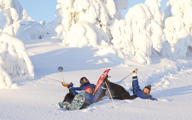 Santa's Igloos Arctic Circle