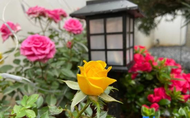 Longrui Homestay (Aoyuan Yingde Chocolate Kingdom)