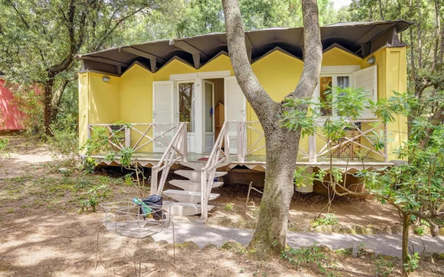 Bungalow in San Vincenzo With Pool