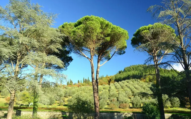 Serene Farmhouse in Dicomano With Swimming Pool