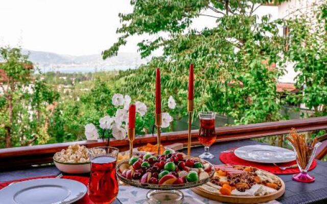 Havuzlu Mustakil Lüx Villa Doğa SAPANCA 150 MT2