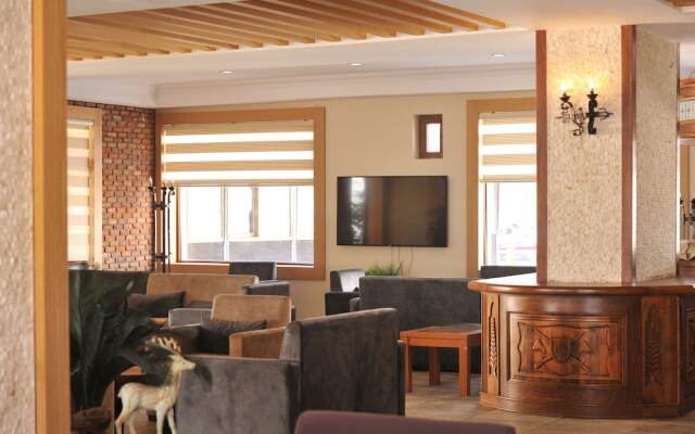 Sarikamis Kayi Snow Otel