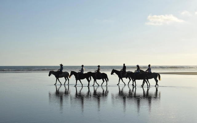 Palm Coast Luxury Rentals