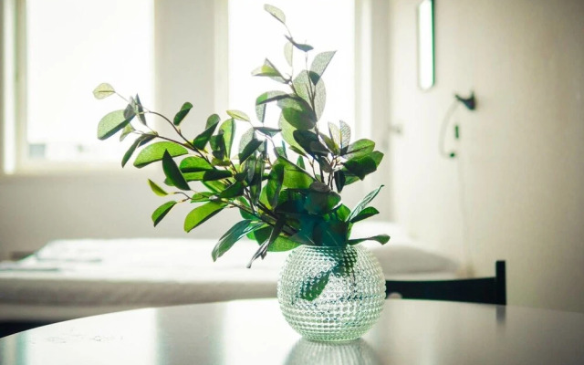 Seminarbakken Appartments