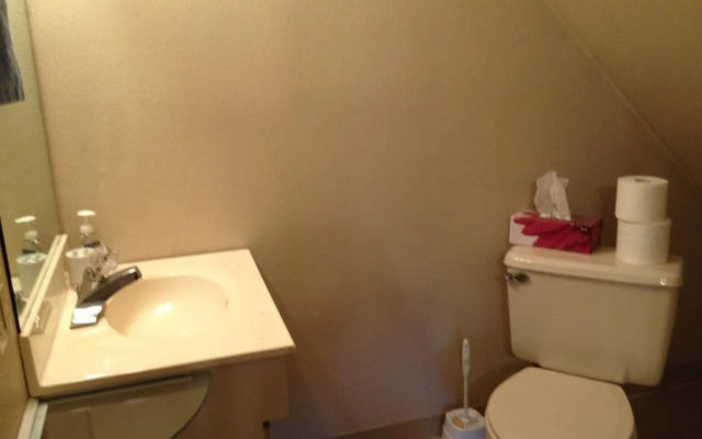 Ninilchik Cabins and Fish Camp