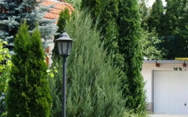 Palatinus Apartmanok