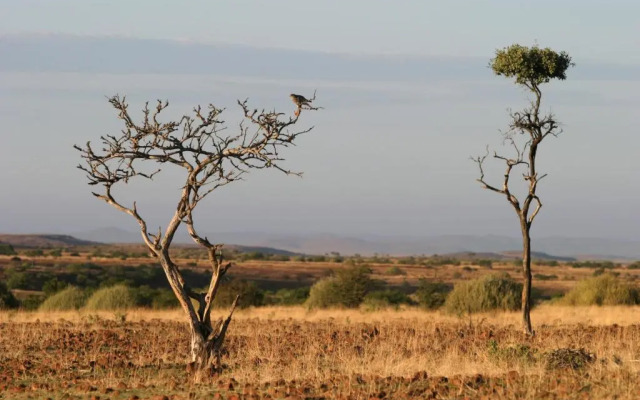 Etendeka Mountain Camp