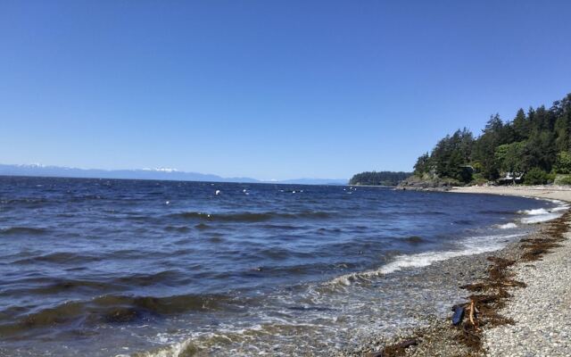 Sunshine Coast Treetop Wonderland