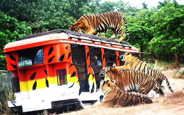 Zoobic Glampz- Subic