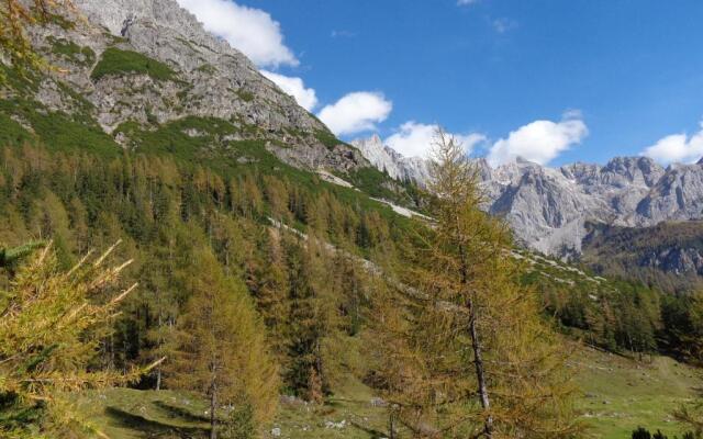 Ferienwohnungen Vierthaler