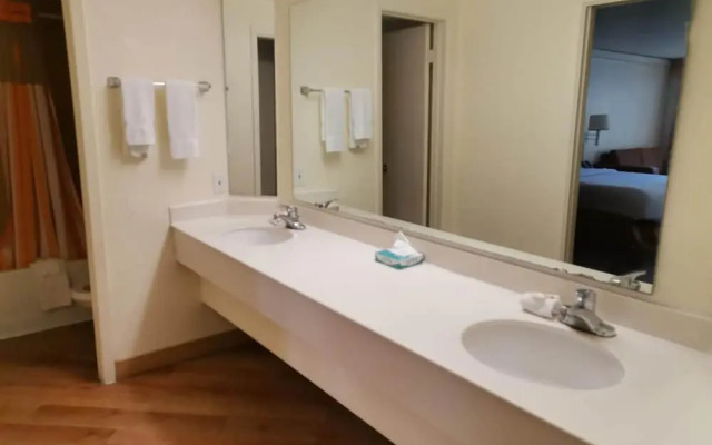 Flex Studios Culebra