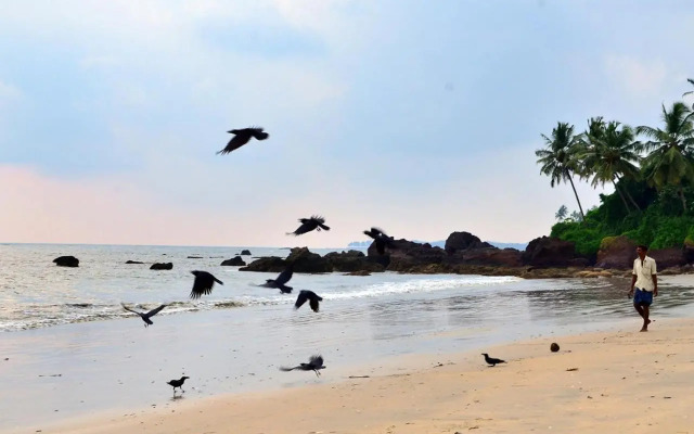 Ocean Green Kerala