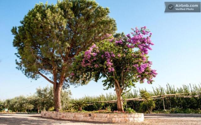 Agriturismo Sant'Andrea