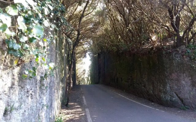 Estudio Los Molinos