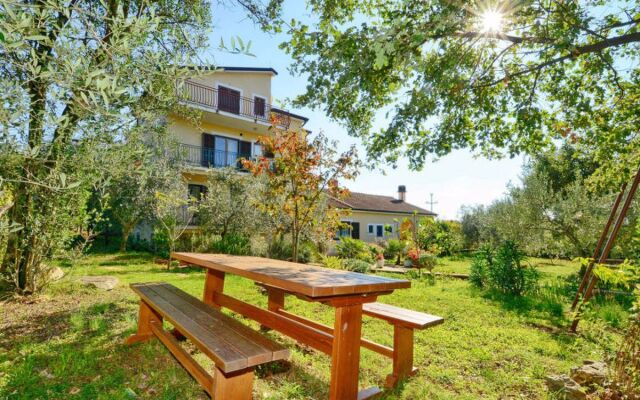 Apartment Albina Umag