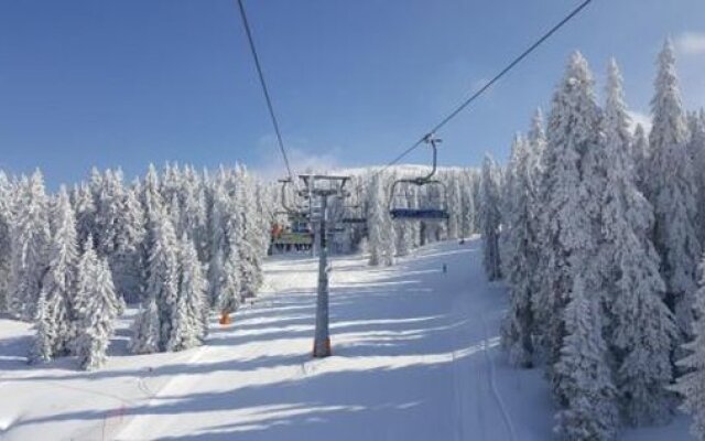 Hotel Olga Dedijer Kopaonik