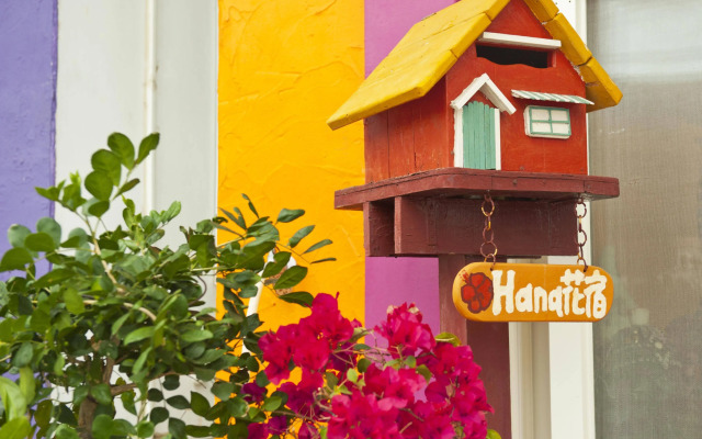 Hana B & B