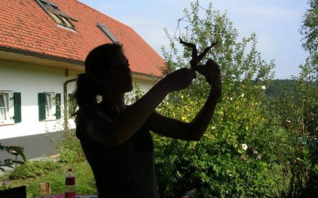 Sonnenhaus Grandl