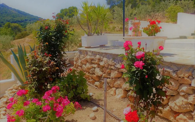 Pefkides Aegina Boutique Apartments