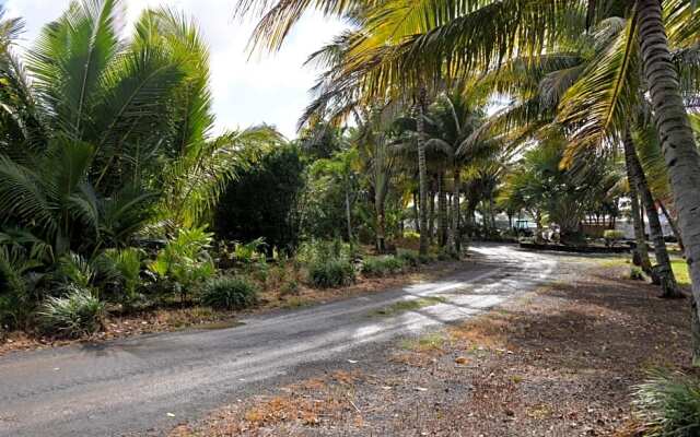 Domaine des Oiseaux Réunion