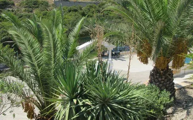 Paradise Studios