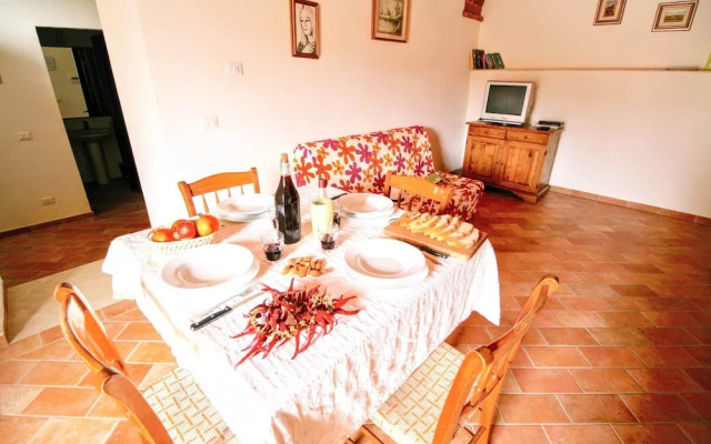 Vintage Farmhouse with Pool in Asciano